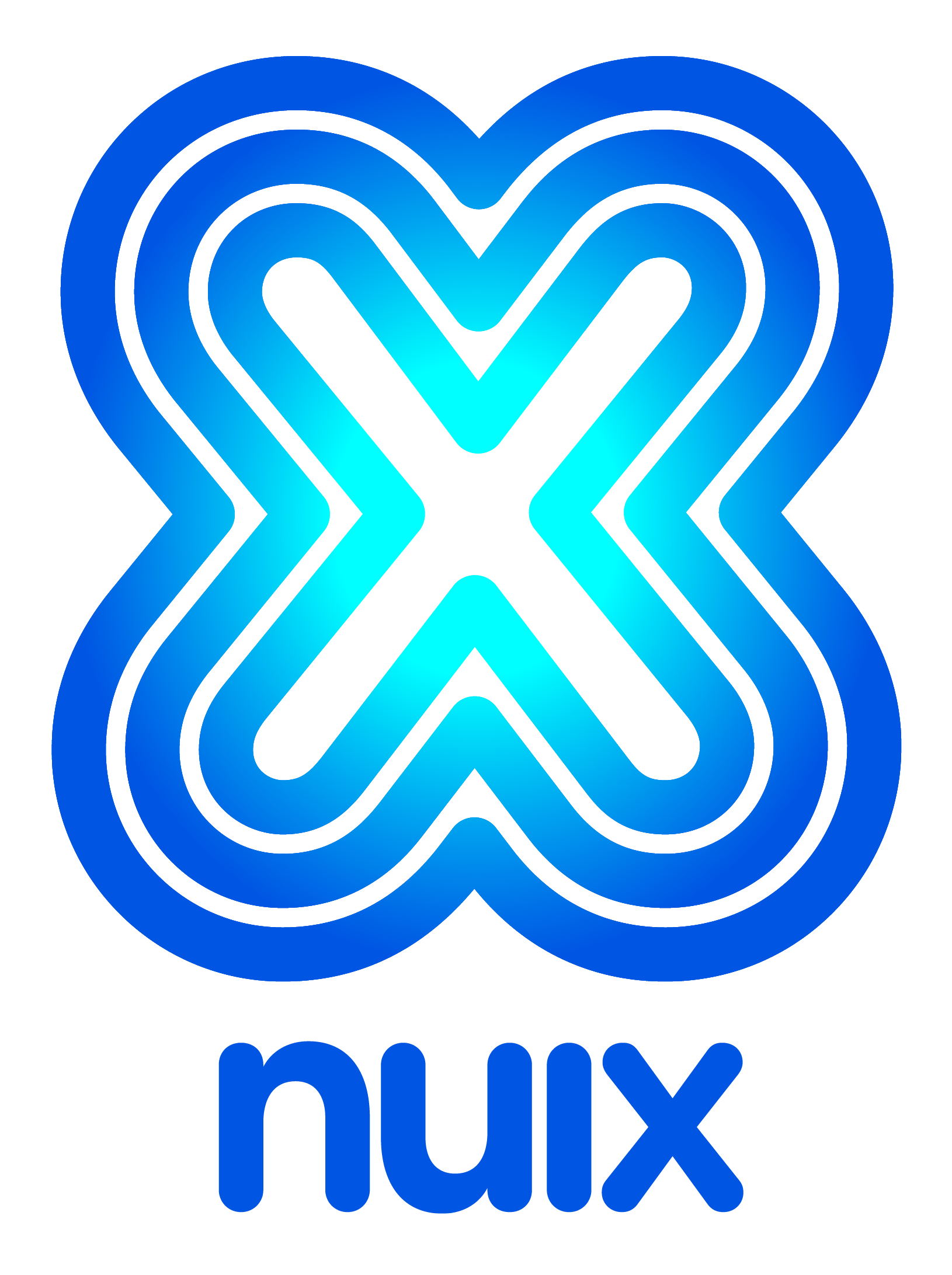 Nuix Logo